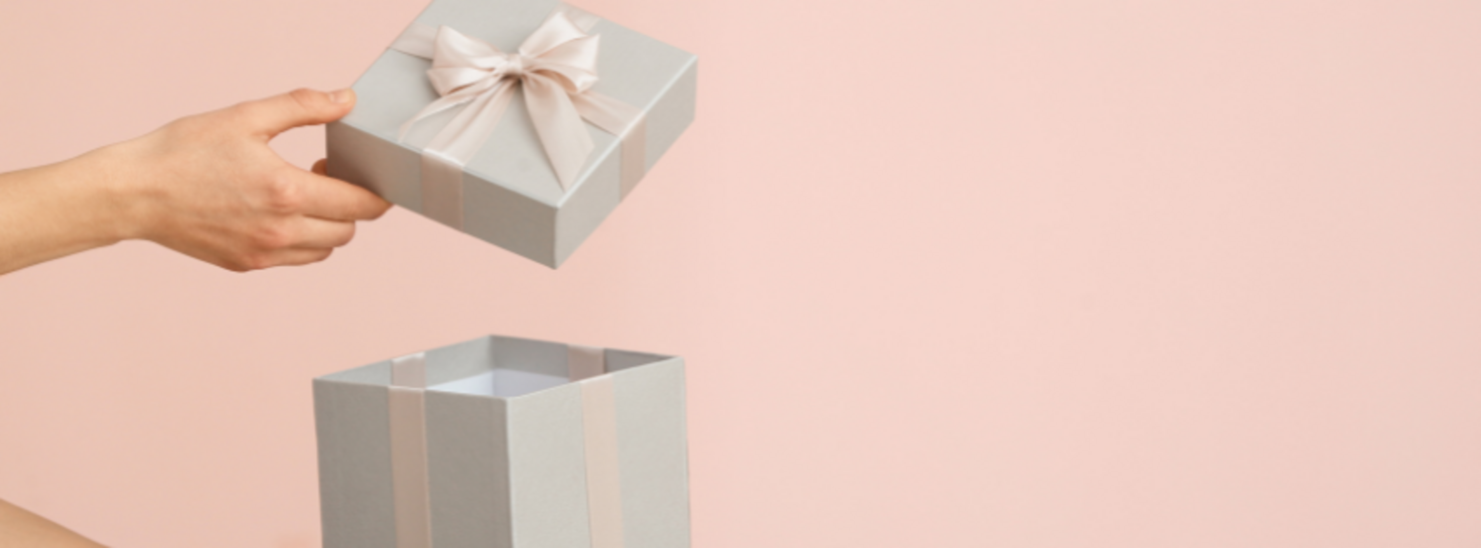 Silver'Box