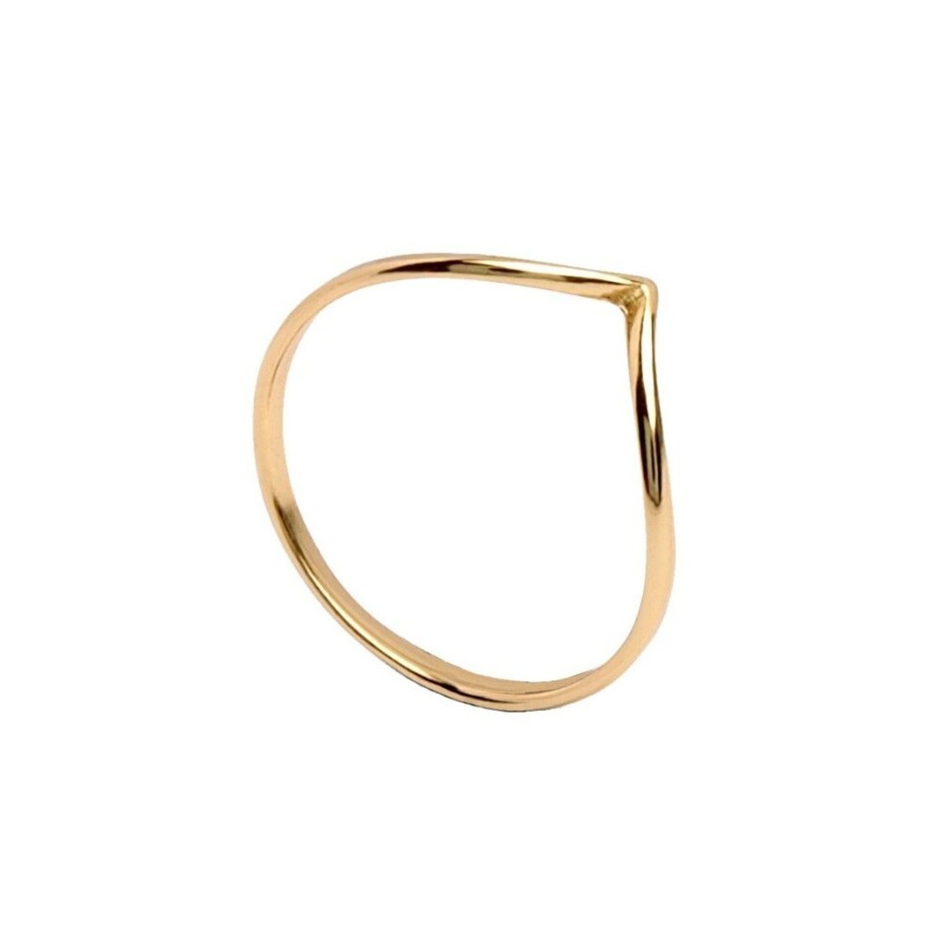 Anillo V - 2
