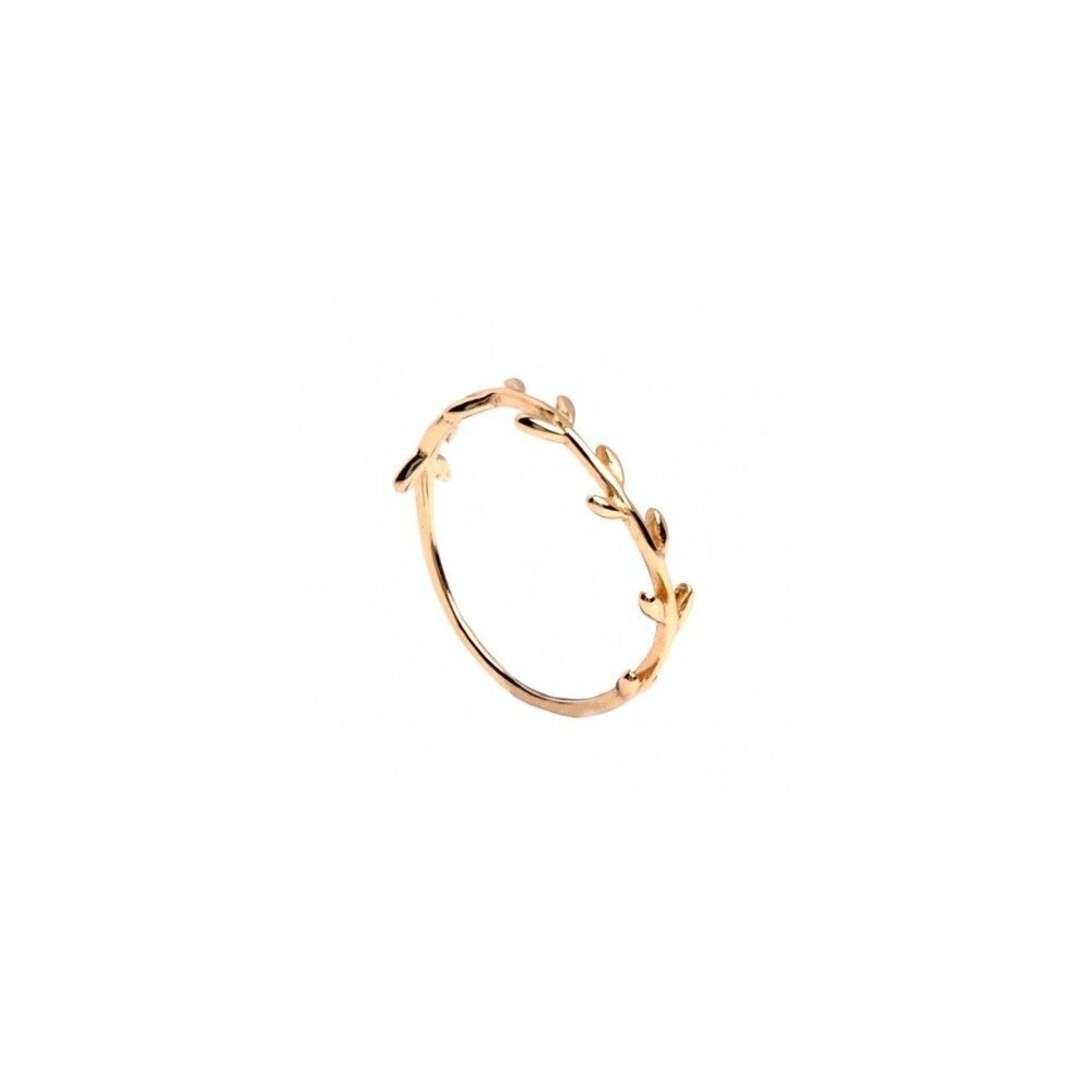 Anillo rama - 2